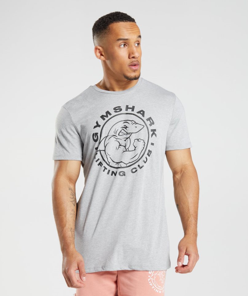 Men\'s Gymshark Legacy T-Shirts Light Grey | NZ 5WGJDR